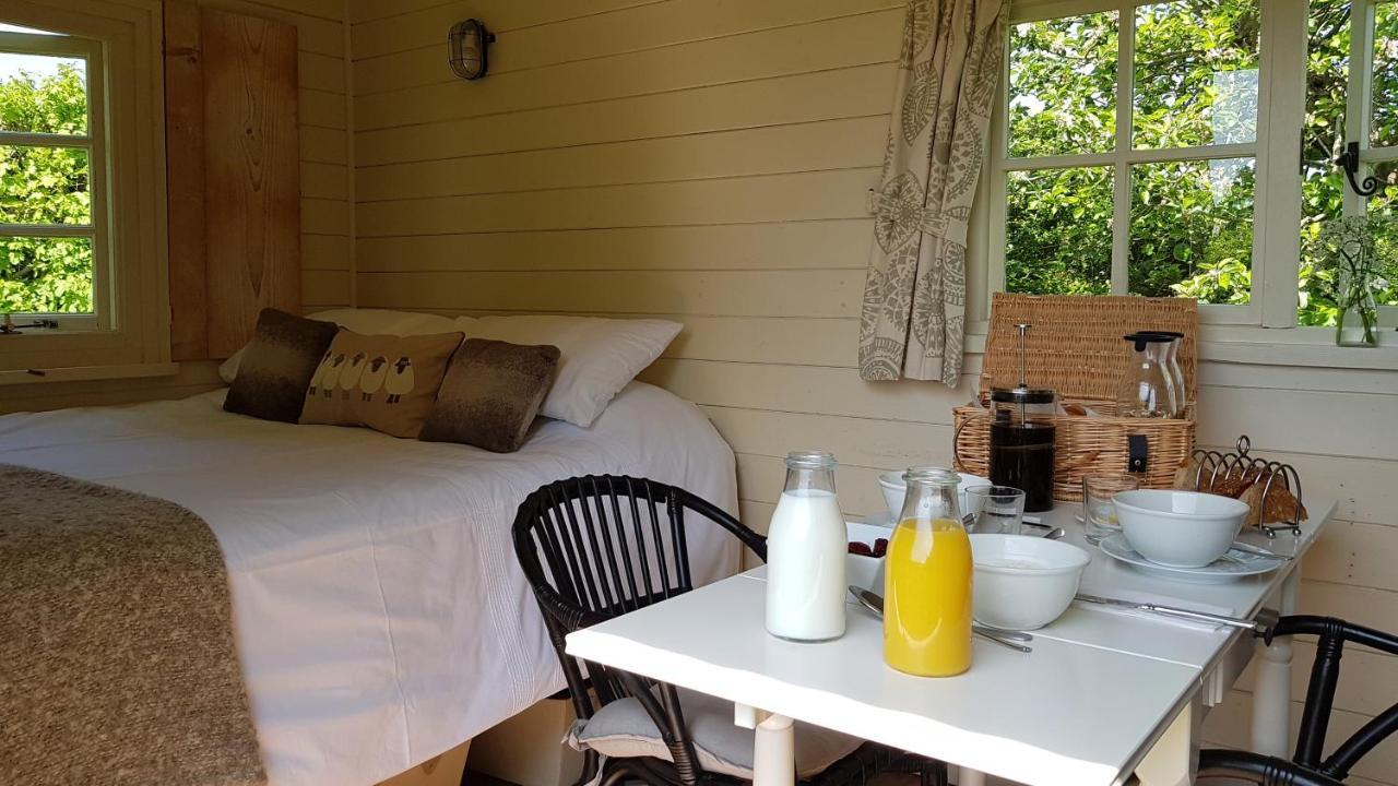 Wilderness B&B 3 Self Contained Rooms Nr Sissinghurst Headcorn Luaran gambar
